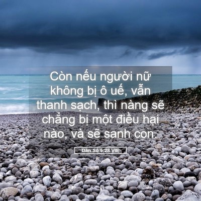 Picture 05 - Dân Số 5:28 VIE - Còn nếu người nữ không bị ô uế, - Bible Verse Picture