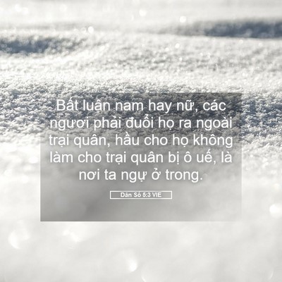 Picture 05 - Dân Số 5:3 VIE - Bất luận nam hay nữ, các ngươi phải - Bible Verse Picture