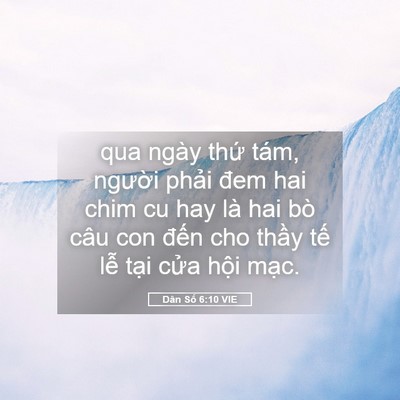 Picture 05 - Dân Số 6:10 VIE - qua ngày thứ tám, người phải đem hai - Bible Verse Picture
