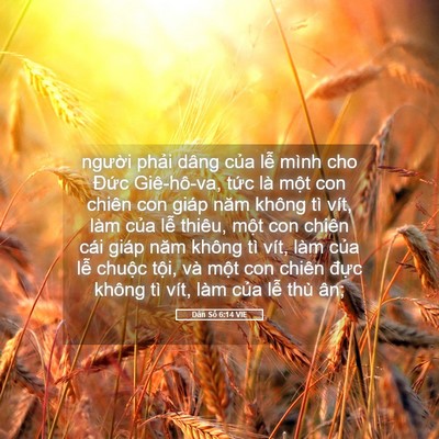 Picture 05 - Dân Số 6:14 VIE - người phải dâng của lễ mình cho Đức - Bible Verse Picture