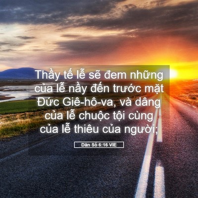 Picture 05 - Dân Số 6:16 VIE - Thầy tế lễ sẽ đem những của lễ - Bible Verse Picture