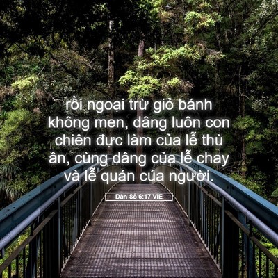 Picture 05 - Dân Số 6:17 VIE - rồi ngoại trừ giỏ bánh không men, dâng - Bible Verse Picture