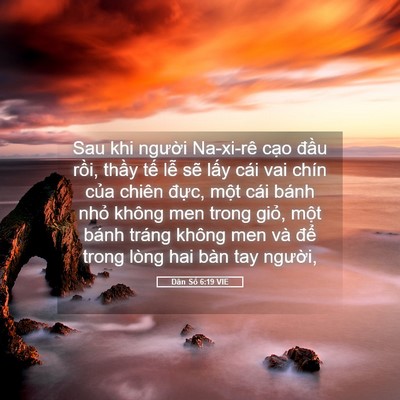 Picture 05 - Dân Số 6:19 VIE - Sau khi người Na-xi-rê cạo đầu rồi, - Bible Verse Picture