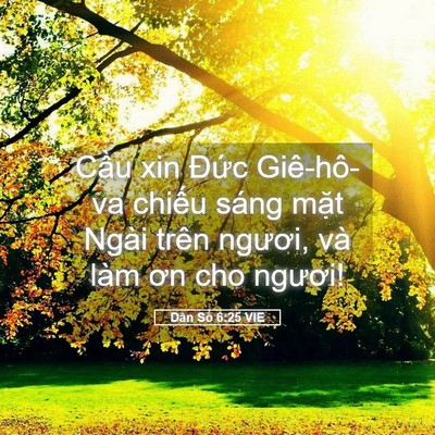 Picture 05 - Dân Số 6:25 VIE - Cầu xin Đức Giê-hô-va chiếu sáng mặt - Bible Verse Picture