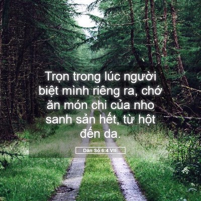 Picture 05 - Dân Số 6:4 VIE - Trọn trong lúc người biệt mình riêng - Bible Verse Picture