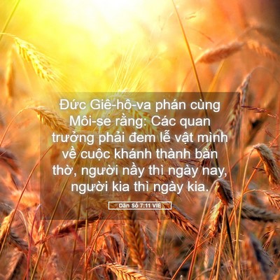 Picture 05 - Dân Số 7:11 VIE - Đức Giê-hô-va phán cùng Môi-se rằng: - Bible Verse Picture