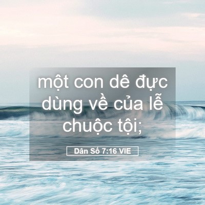 Picture 05 - Dân Số 7:16 VIE - một con dê đực dùng về của lễ - Bible Verse Picture