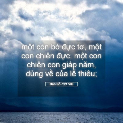 Picture 05 - Dân Số 7:21 VIE - một con bò đực tơ, một con chiên - Bible Verse Picture