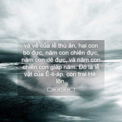 Picture 05 - Dân Số 7:29 VIE - và về của lễ thù ân, hai con bò đực, - Bible Verse Picture