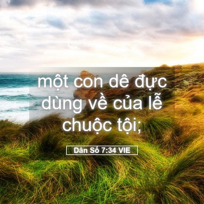 Picture 05 - Dân Số 7:34 VIE - một con dê đực dùng về của lễ - Bible Verse Picture