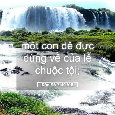 Picture 05 - Dân Số 7:40 VIE - một con dê đực dùng về của lễ - Bible Verse Picture