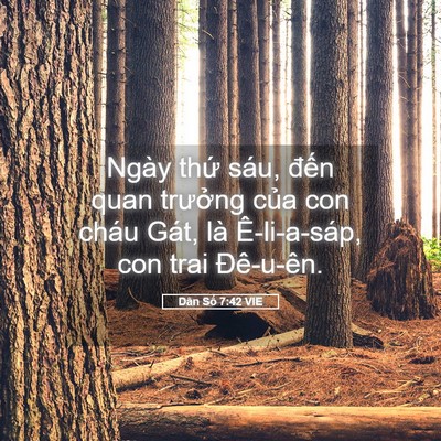 Picture 05 - Dân Số 7:42 VIE - Ngày thứ sáu, đến quan trưởng của con - Bible Verse Picture