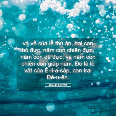 Picture 05 - Dân Số 7:47 VIE - và về của lễ thù ân, hai con bò đực, - Bible Verse Picture