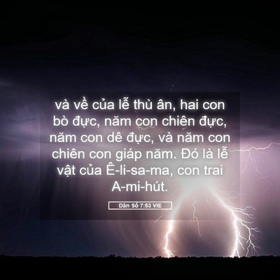 Picture 05 - Dân Số 7:53 VIE - và về của lễ thù ân, hai con bò đực, - Bible Verse Picture