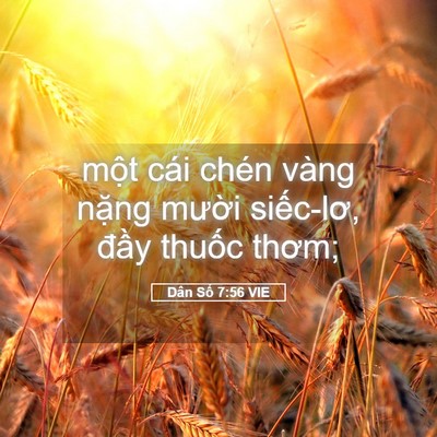 Picture 05 - Dân Số 7:56 VIE - một cái chén vàng nặng mười siếc-lơ, - Bible Verse Picture