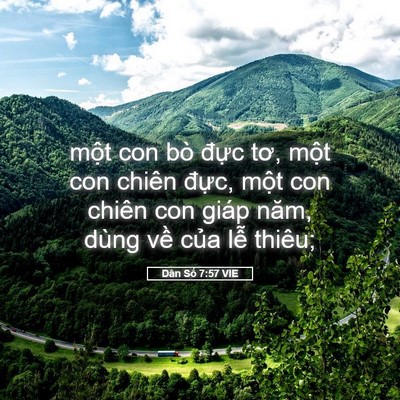 Picture 05 - Dân Số 7:57 VIE - một con bò đực tơ, một con chiên - Bible Verse Picture