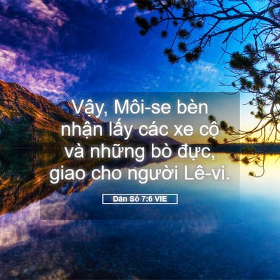 Picture 05 - Dân Số 7:6 VIE - Vậy, Môi-se bèn nhận lấy các xe cộ và - Bible Verse Picture