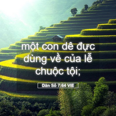 Picture 05 - Dân Số 7:64 VIE - một con dê đực dùng về của lễ - Bible Verse Picture