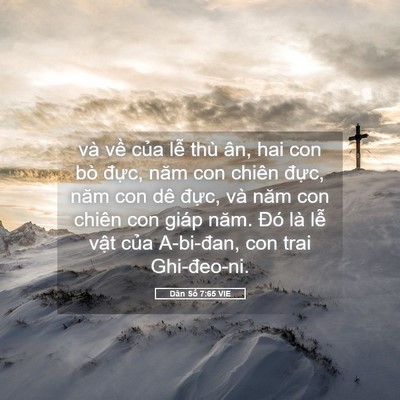 Picture 05 - Dân Số 7:65 VIE - và về của lễ thù ân, hai con bò đực, - Bible Verse Picture