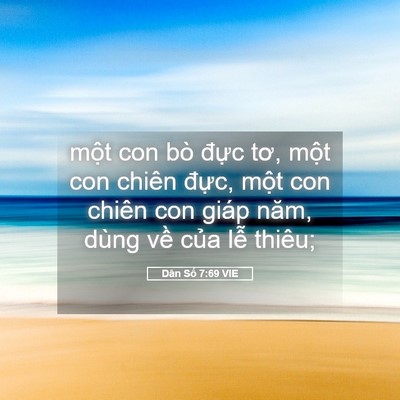 Picture 05 - Dân Số 7:69 VIE - một con bò đực tơ, một con chiên - Bible Verse Picture