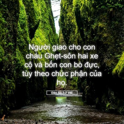Picture 05 - Dân Số 7:7 VIE - Người giao cho con cháu Ghẹt-sôn hai xe - Bible Verse Picture