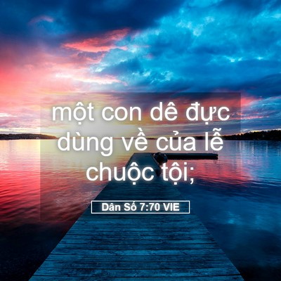 Picture 05 - Dân Số 7:70 VIE - một con dê đực dùng về của lễ - Bible Verse Picture