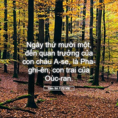 Picture 05 - Dân Số 7:72 VIE - Ngày thứ mười một, đến quan trưởng - Bible Verse Picture