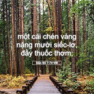 Picture 05 - Dân Số 7:74 VIE - một cái chén vàng nặng mười siếc-lơ, - Bible Verse Picture