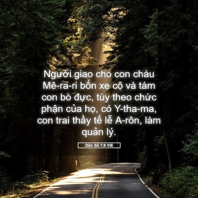 Picture 05 - Dân Số 7:8 VIE - Người giao cho con cháu Mê-ra-ri bốn xe - Bible Verse Picture