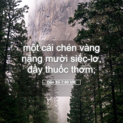 Picture 05 - Dân Số 7:80 VIE - một cái chén vàng nặng mười siếc-lơ, - Bible Verse Picture