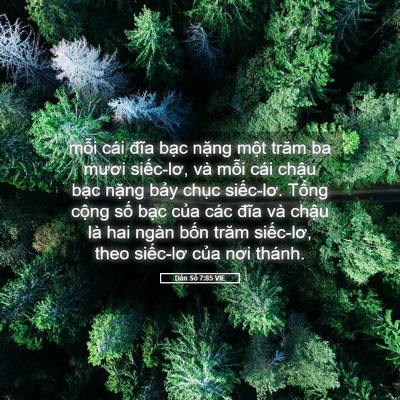 Picture 05 - Dân Số 7:85 VIE - mỗi cái đĩa bạc nặng một trăm ba - Bible Verse Picture