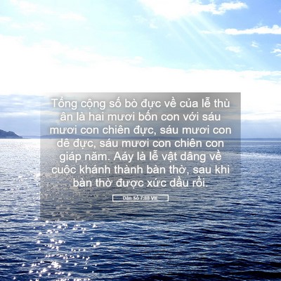 Picture 05 - Dân Số 7:88 VIE - Tổng cộng số bò đực về của lễ - Bible Verse Picture