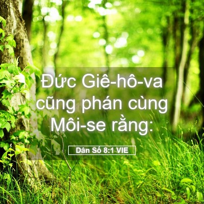 Picture 05 - Dân Số 8:1 VIE - Đức Giê-hô-va cũng phán cùng Môi-se - Bible Verse Picture