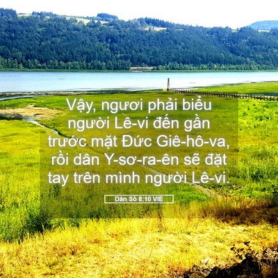 Picture 05 - Dân Số 8:10 VIE - Vậy, ngươi phải biểu người Lê-vi - Bible Verse Picture