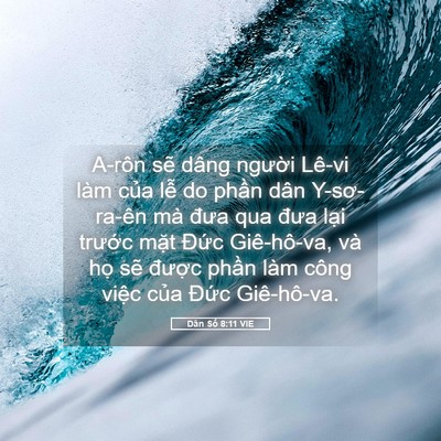 Picture 05 - Dân Số 8:11 VIE - A-rôn sẽ dâng người Lê-vi làm của lễ - Bible Verse Picture