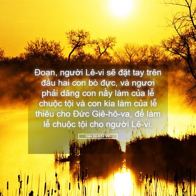 Picture 05 - Dân Số 8:12 VIE - Đoạn, người Lê-vi sẽ đặt tay trên - Bible Verse Picture