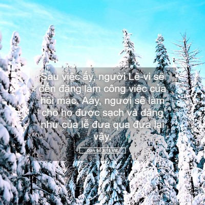 Picture 05 - Dân Số 8:15 VIE - Sau việc ấy, người Lê-vi sẽ đến - Bible Verse Picture