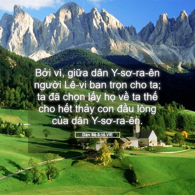 Picture 05 - Dân Số 8:16 VIE - Bởi vì, giữa dân Y-sơ-ra-ên người - Bible Verse Picture