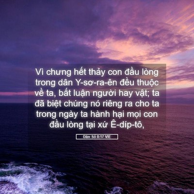 Picture 05 - Dân Số 8:17 VIE - Vì chưng hết thảy con đầu lòng trong - Bible Verse Picture