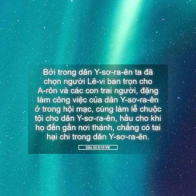 Picture 05 - Dân Số 8:19 VIE - Bởi trong dân Y-sơ-ra-ên ta đã chọn - Bible Verse Picture
