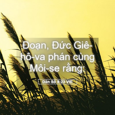 Picture 05 - Dân Số 8:23 VIE - Đoạn, Đức Giê-hô-va phán cùng Môi-se - Bible Verse Picture