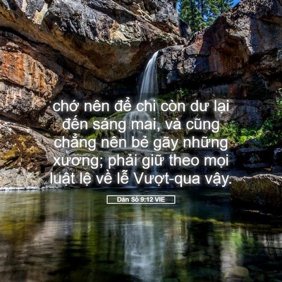 Picture 05 - Dân Số 9:12 VIE - chớ nên để chi còn dư lại đến sáng - Bible Verse Picture