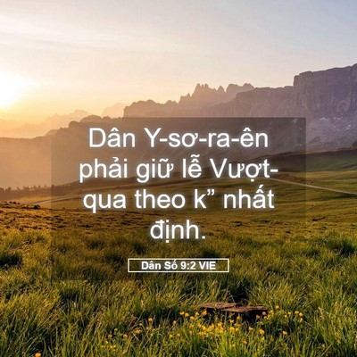 Picture 05 - Dân Số 9:2 VIE - Dân Y-sơ-ra-ên phải giữ lễ Vượt-qua - Bible Verse Picture