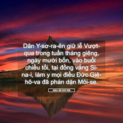 Picture 05 - Dân Số 9:5 VIE - Dân Y-sơ-ra-ên giữ lễ Vượt-qua trong - Bible Verse Picture