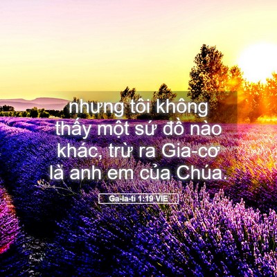 Picture 05 - Ga-la-ti 1:19 VIE - nhưng tôi không thấy một sứ đồ nào - Bible Verse Picture