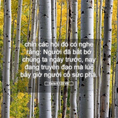 Picture 05 - Ga-la-ti 1:23 VIE - chỉn các hội đó có nghe rằng: Người - Bible Verse Picture