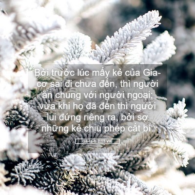 Picture 05 - Ga-la-ti 2:12 VIE - Bởi trước lúc mấy kẻ của Gia-cơ sai - Bible Verse Picture