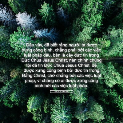 Picture 05 - Ga-la-ti 2:16 VIE - Dầu vậy, đã biết rằng người ta - Bible Verse Picture