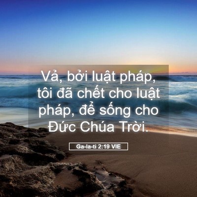 Picture 05 - Ga-la-ti 2:19 VIE - Vả, bởi luật pháp, tôi đã chết cho - Bible Verse Picture