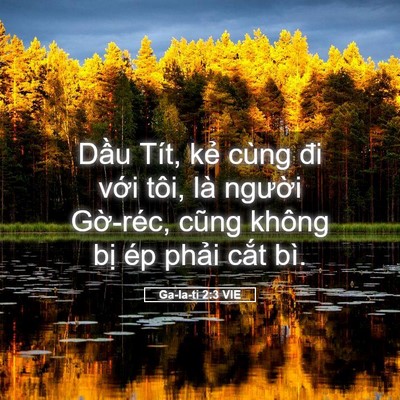 Picture 05 - Ga-la-ti 2:3 VIE - Dầu Tít, kẻ cùng đi với tôi, là - Bible Verse Picture